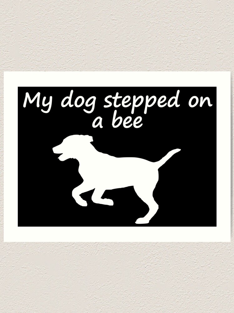 "My dog stepped on a bee, My dad has to pee, I my house key with dog Tiktok sound