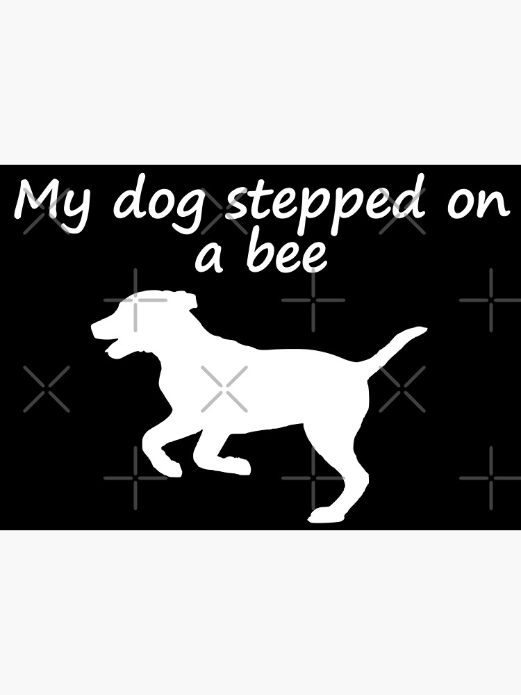 "My dog stepped on a bee, My dad has to pee, I my house key with dog Tiktok sound