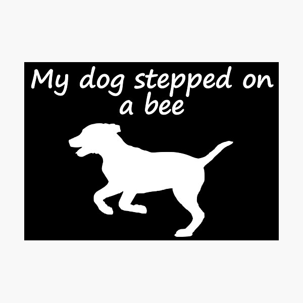 My dog Stepped on a bee my dad has to pee I forgot my house key