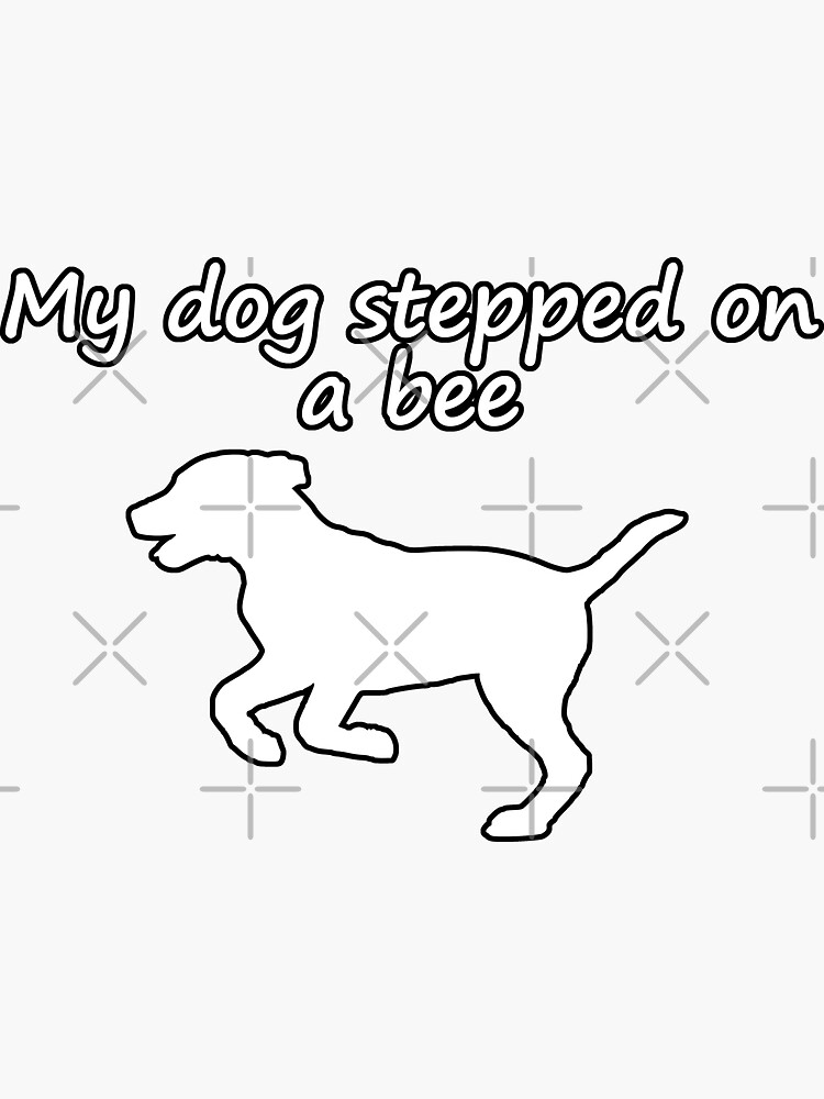 "My dog stepped on a bee, My dad has to pee, I my house key with dog Tiktok sound