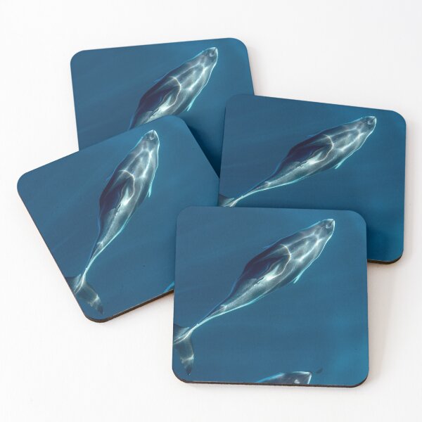 Artikelvorschau, Wild Dolphin Clarity entworfen und verkauft von PsychoAlien.com.