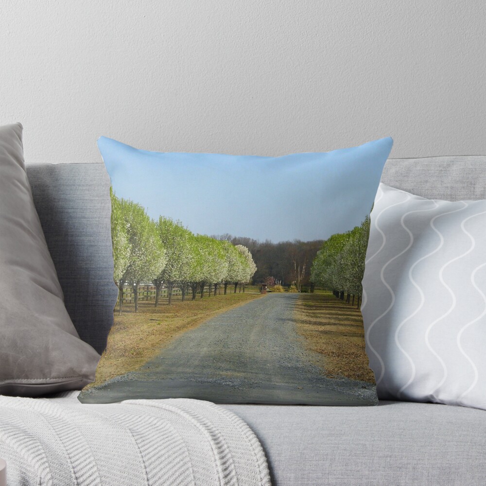 Item preview, Throw Pillow designed and sold by WildestArt.