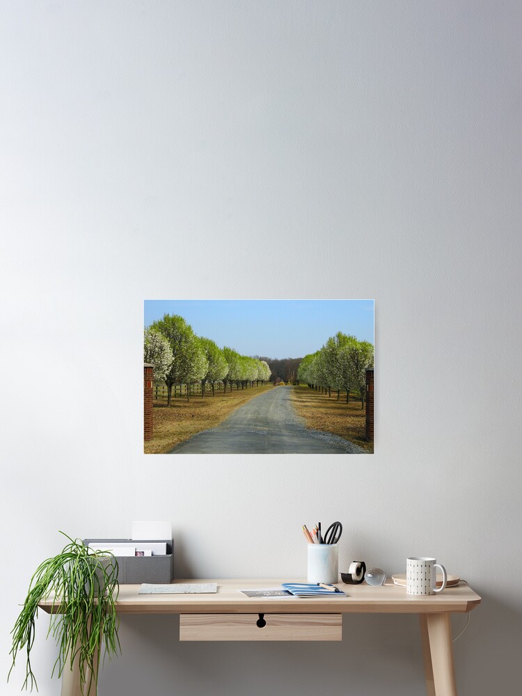 Thumbnail 2 of 3, Poster, Pretty Drive designed and sold by WildestArt.