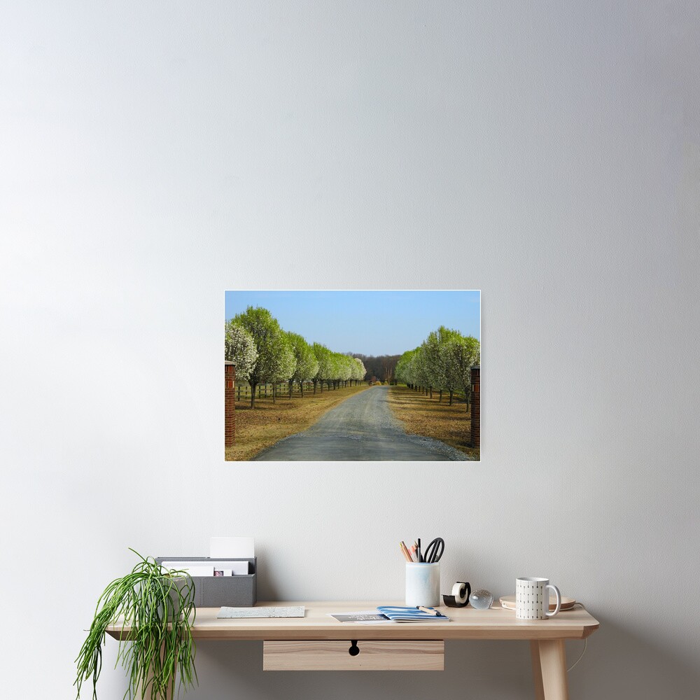 Item preview, Poster designed and sold by WildestArt.