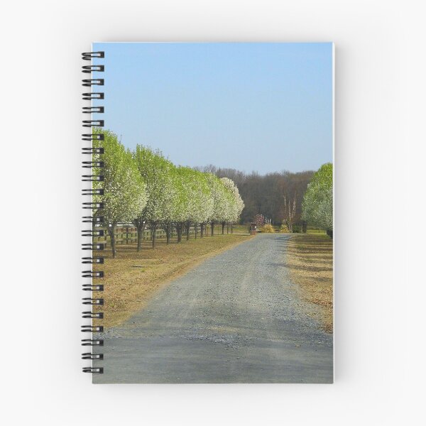 Item preview, Pretty Drive designed and sold by WildestArt.