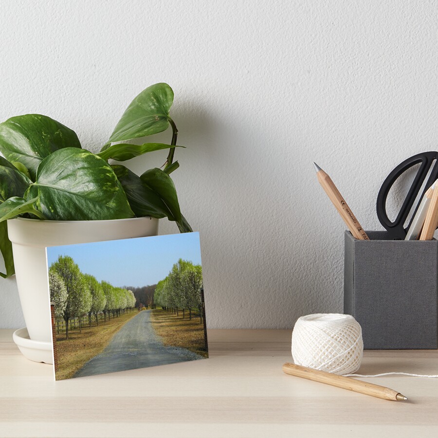 Item preview, Art Board Print designed and sold by WildestArt.