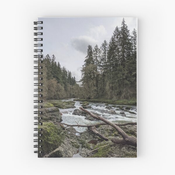 Aperçu de l'œuvre Au-dessus de la rivière et à travers les bois créée et vendue par RajasIntuits.