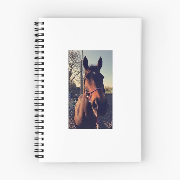 Item preview, Horse in the sun! designed and sold by NickF1994.