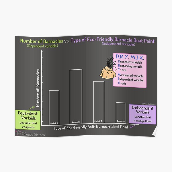 Independent Variable vs Dependent Variable Poster Poster