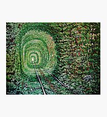 "Railway Forest" Photographic Print