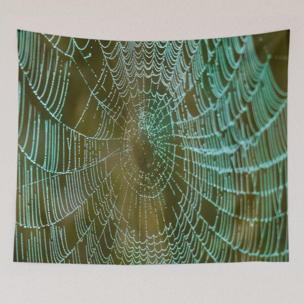 Item preview, Dew on a spiders web designed and sold by Dalyndigital Photography.