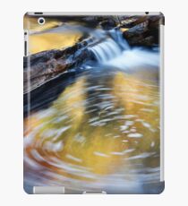 Circular Swirl - Kalamina Gorge iPad Case/Skin