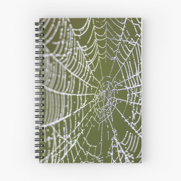 Item preview, Dew Covered Cob-Web designed and sold by Dalyndigital Photography.