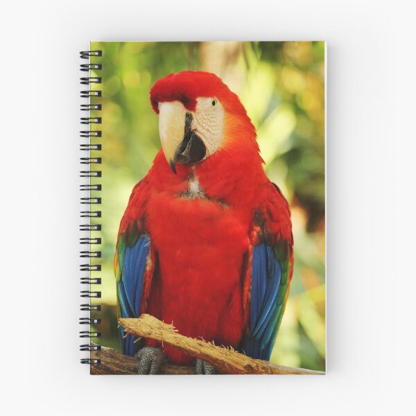 Item preview, Scarlet Macaw designed and sold by ecassell.