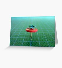 Toadstool Greeting Card