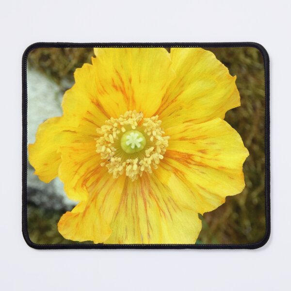 Artikelvorschau, Mohn entworfen und verkauft von KathleenDawson.