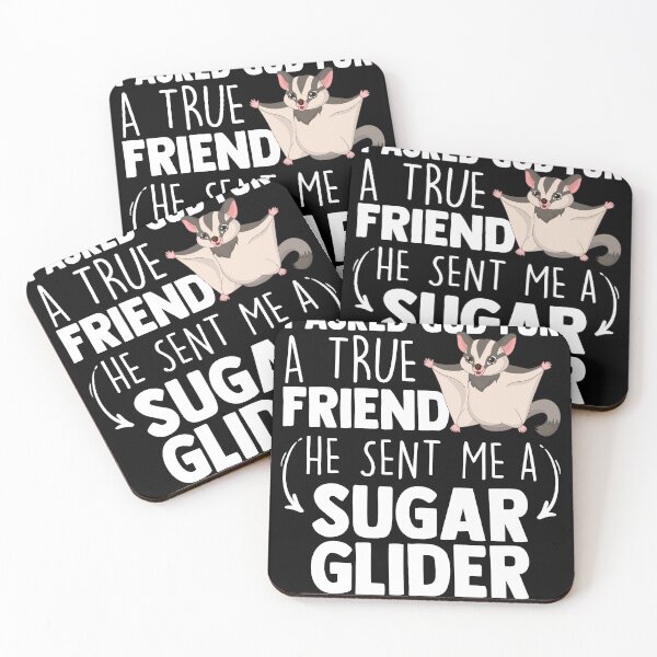 Item preview, I Asked God For A True Friend He Sent Me A Sugar Glider designed and sold by MakeGoodChoices.