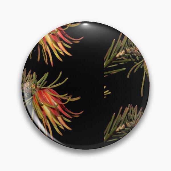 Item preview, Darwinia masonii  designed and sold by andrachne.
