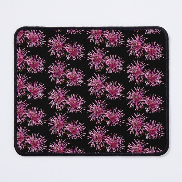 Item preview, Isopogon formosus designed and sold by andrachne.