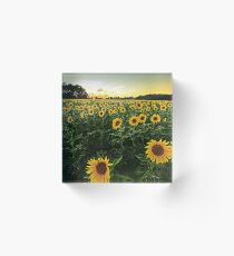 Sunflower Field Acrylic Block