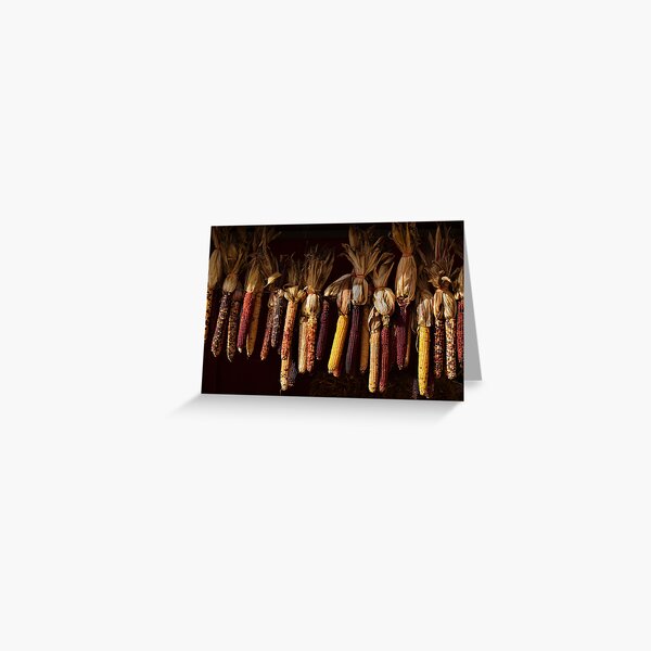 Colors of Corn Greeting Card
