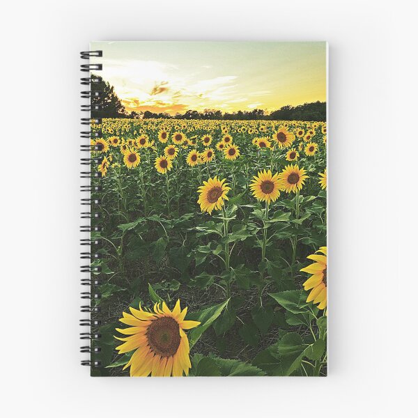 Item preview, Sunflower Field designed and sold by Andy Horgan.