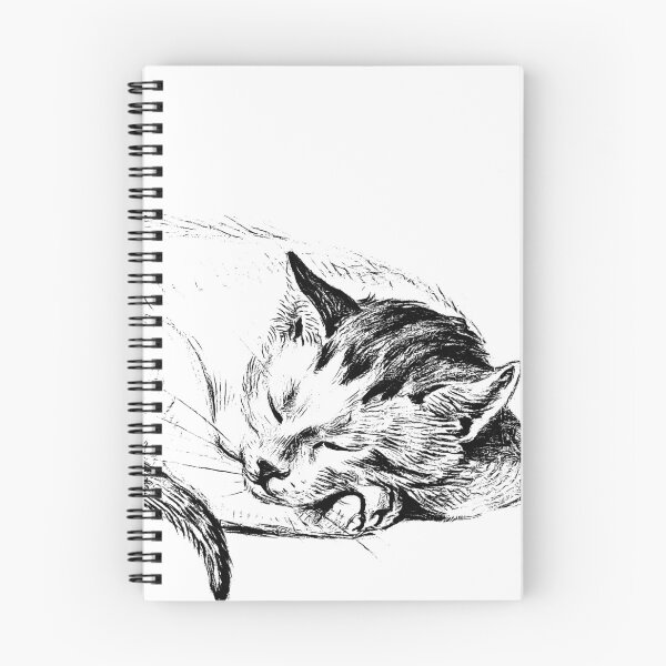Item preview, Adorable Sleeping Cat: Edited Sketch of a Cat (1812) By Jean Bernard designed and sold by TeachUrb.