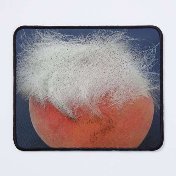 Item preview, Haircut?  (Mouldy Peach) designed and sold by lezvee.