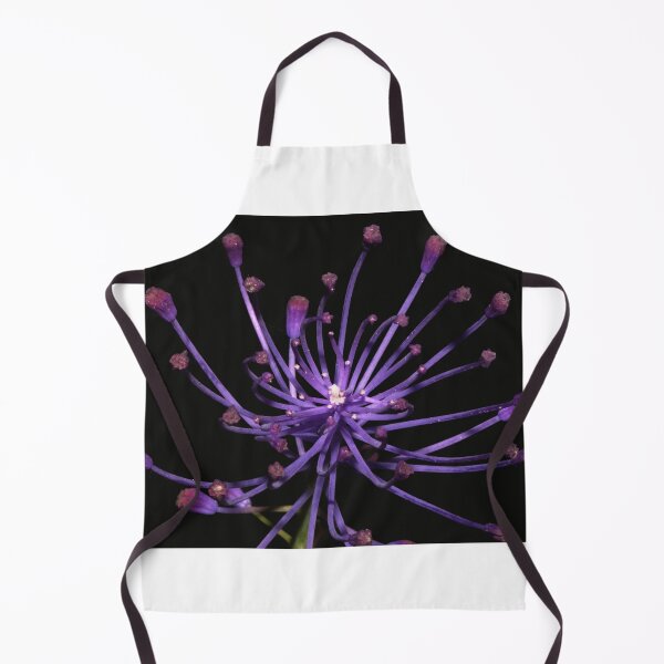 Item preview, Muscari comosum designed and sold by andrachne.
