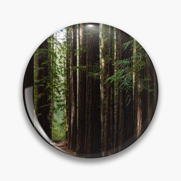 Item preview, Redwood Forest designed and sold by Dreamscape Eclectic .