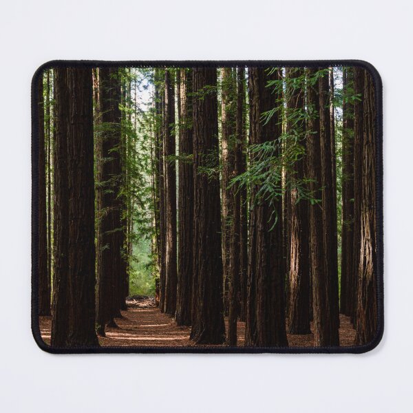 Item preview, Redwood Forest designed and sold by Dreamscape Eclectic .