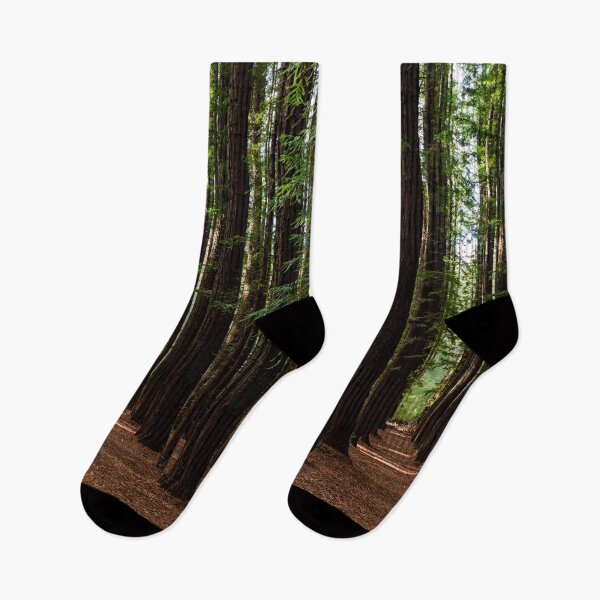 Item preview, Redwood Forest designed and sold by Dreamscape Eclectic .