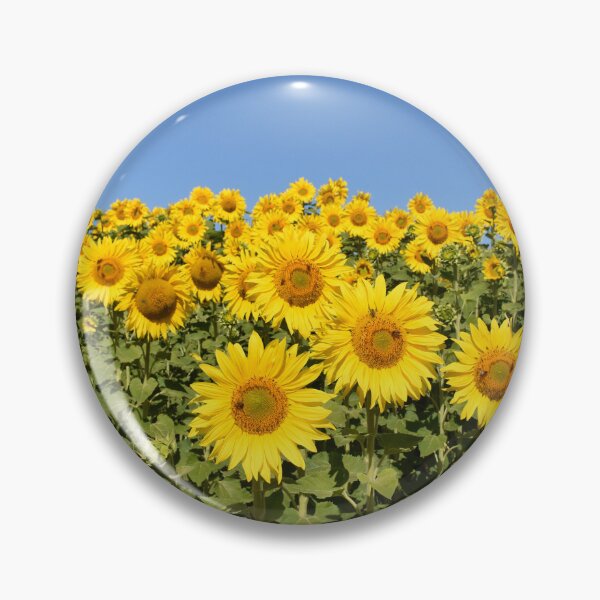 Item preview, Paddock of Sunflowers designed and sold by Rainbow Farm Photography.