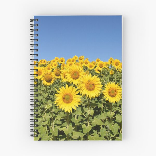 Item preview, Paddock of Sunflowers designed and sold by Rainbow Farm Photography.
