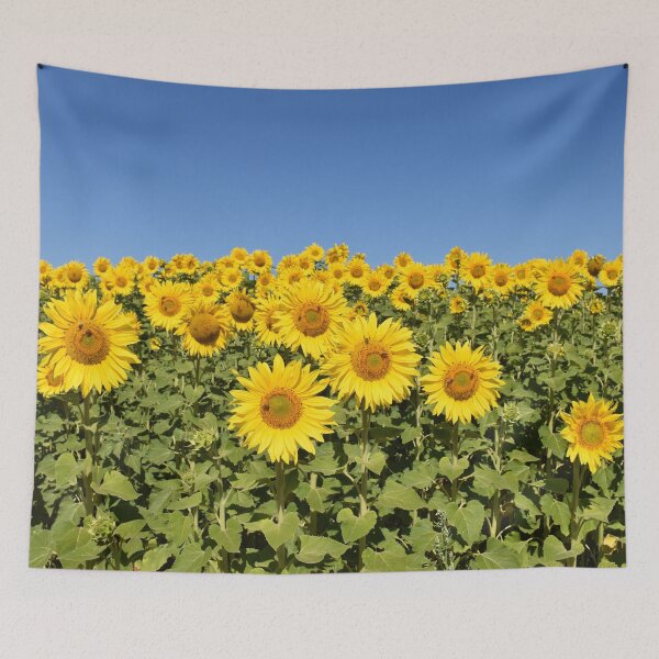 Item preview, Paddock of Sunflowers designed and sold by Rainbow Farm Photography.