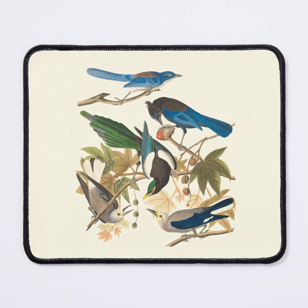 Item preview, Yellow-billed magpie, Stellers jay, Ultramarine jay and Clark's crow designed and sold by linggalibrary.
