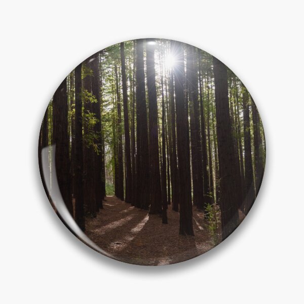 Item preview, Redwood Forest designed and sold by Dreamscape Eclectic .