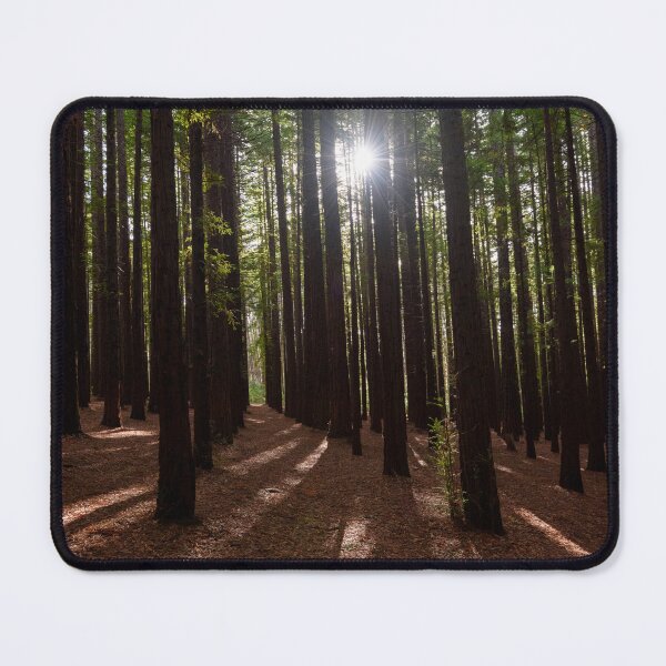 Item preview, Redwood Forest designed and sold by Dreamscape Eclectic .