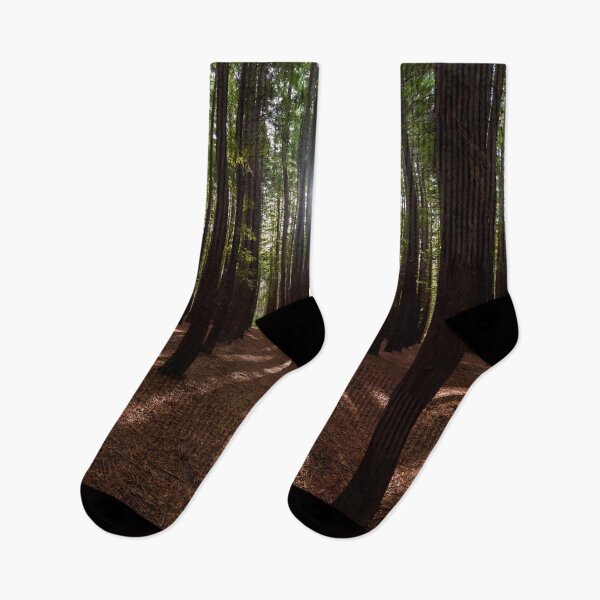 Item preview, Redwood Forest designed and sold by Dreamscape Eclectic .