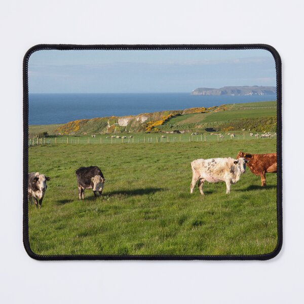 Item preview, The Irish Coastline designed and sold by Zdrojewski.