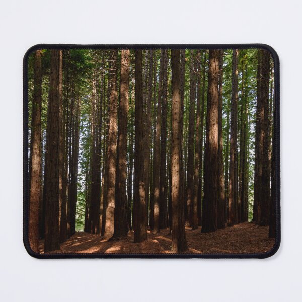 Item preview, Redwood Forest designed and sold by Dreamscape Eclectic .