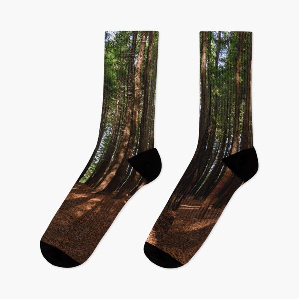 Item preview, Redwood Forest designed and sold by Dreamscape Eclectic .