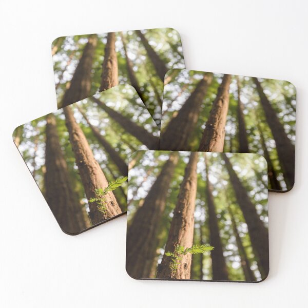 Item preview, Redwood Forest designed and sold by Dreamscape Eclectic .