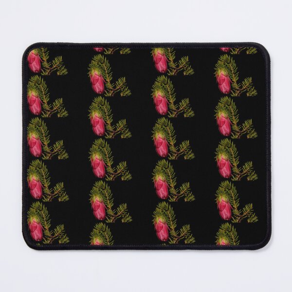 Item preview, Darwinia oxylepis designed and sold by andrachne.