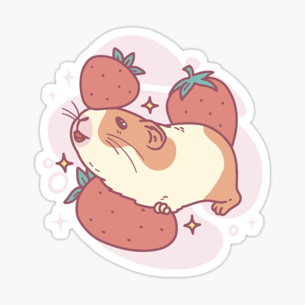 Strawberry hotsell guinea pigs