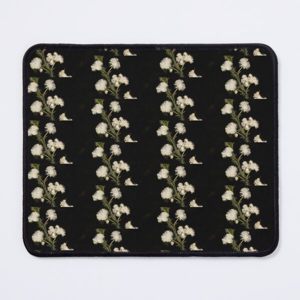 Item preview, Acacia alata var. biglandulosa  designed and sold by andrachne.