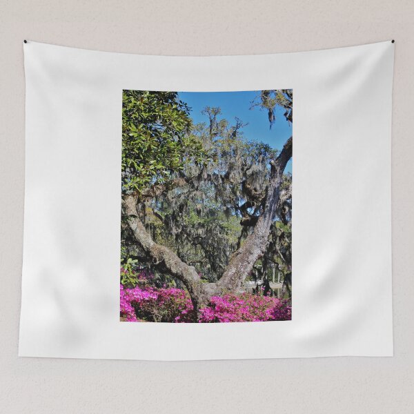 Item preview, Split Tree Beauty designed and sold by Cynthia48.