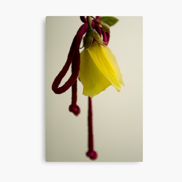 Item preview, happy new year everyone! designed and sold by kathywaldron.