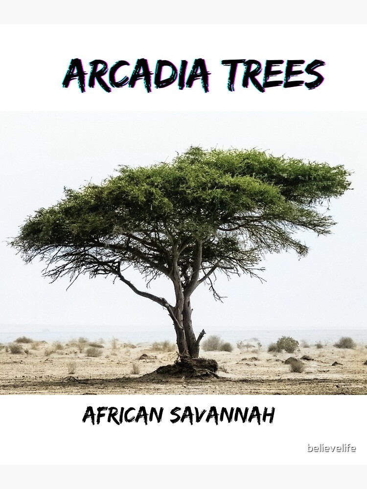 " Arcadia trees can warn each other of danger." Sticker for Sale by