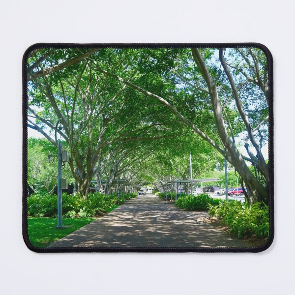 Item preview, Cairns City, Queensland Australia designed and sold by Bec Rose.